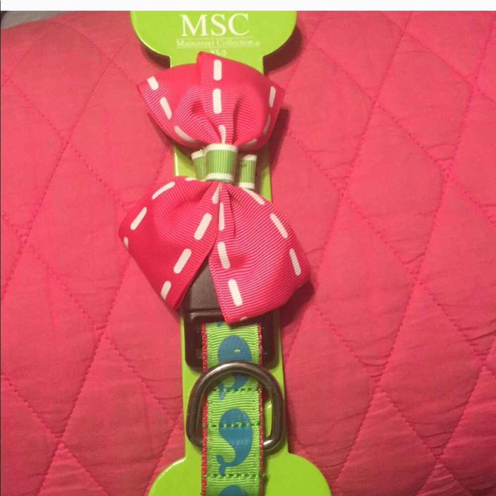 Dog collar NEW
